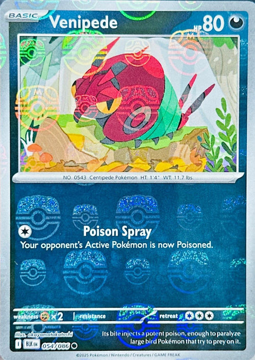 Venipede (Master Ball Pattern) #054/086 - Black Bolt