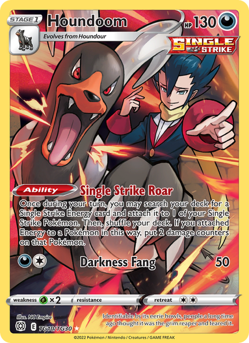 Houndoom #TG10/TG30 - Brilliant Stars Trainer Gallery