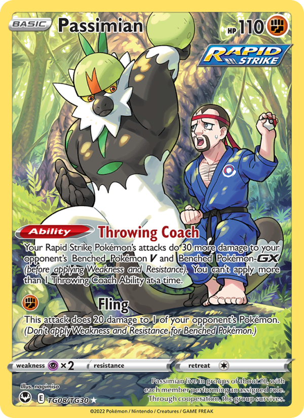 Passimian #TG08/TG30 - Silver Tempest Trainer Gallery